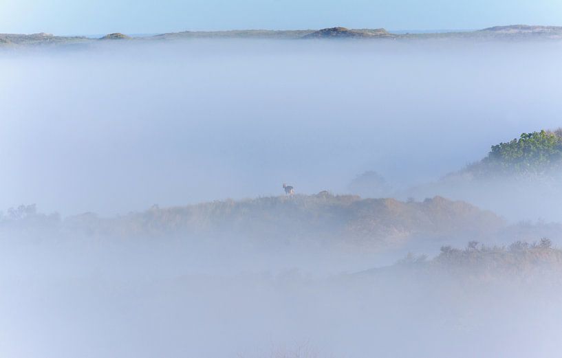 fairytale landscape by Remco Van Daalen