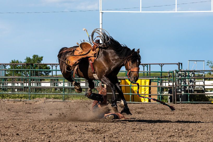 Rodeo im Wilden Westen von Roland Brack