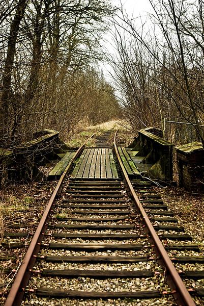 stillgelegte Bahnstrecke #2 von Norbert Sülzner