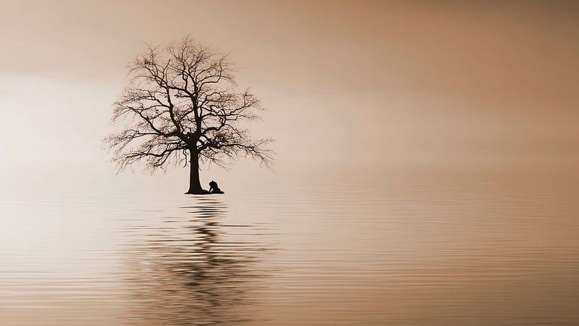 the dialogue by Harry Cathunter