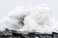 Vagues extrêmes à Scheveningen