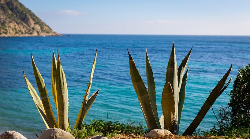 Ibizan view by Creative PhotoLab