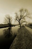De weg van Berend botje naar Zuidlaren 
