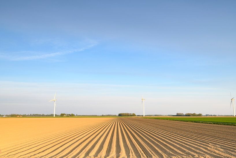 Vers geploegd aardappelveld met rechte aardappelruggen van Sjoerd van der Wal Fotografie