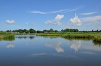 Nederlandse landschap