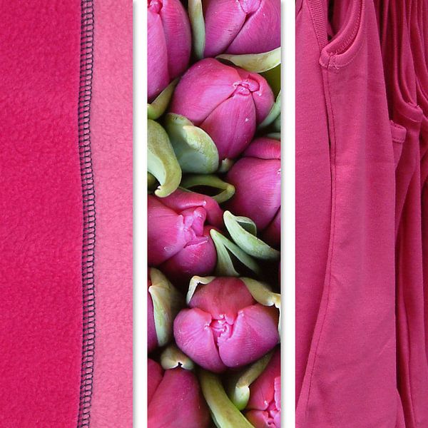 Couleurs Rose par Irene Polak