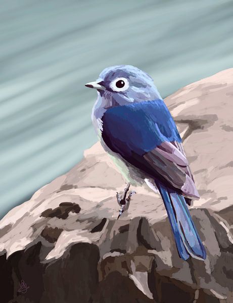 Blue bird on a rock by Alyssa van Niekerk