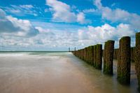 Bollards at Soutelande