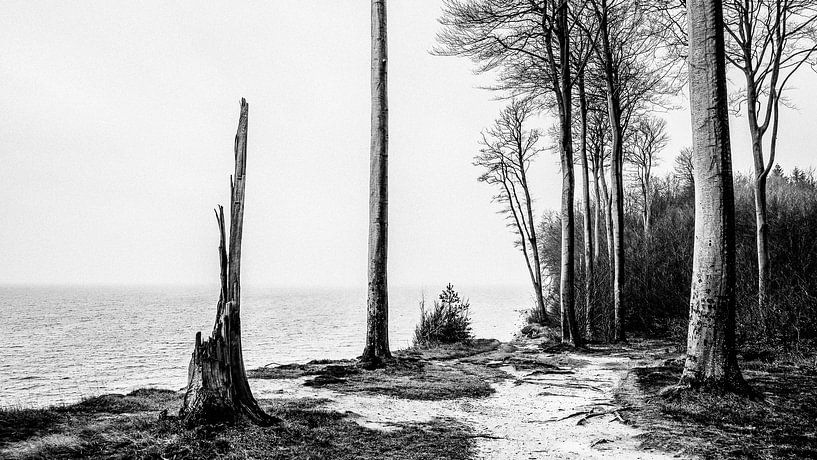 Sturmopfer von Heiko Westphalen