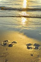 Mit bloßen Füßen im Sand.