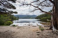 Loch an Eilein, Scotland
