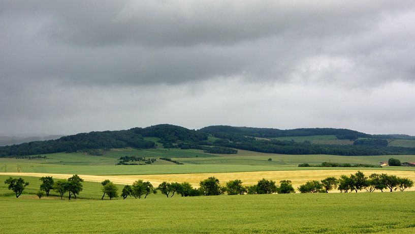 Landschaft Vogesen von PvdH Fotografie