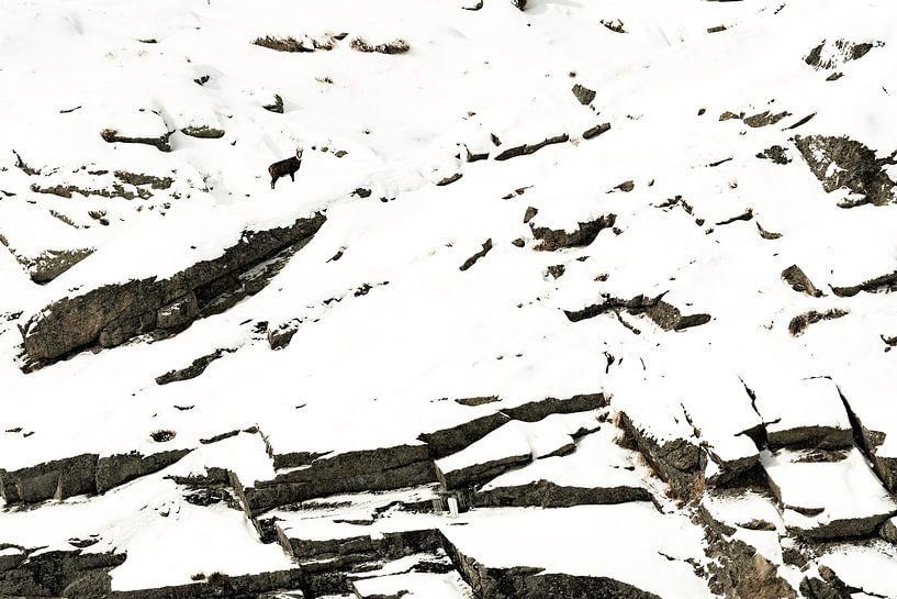 Edelsteine auf dem Suchteller von Sam Mannaerts