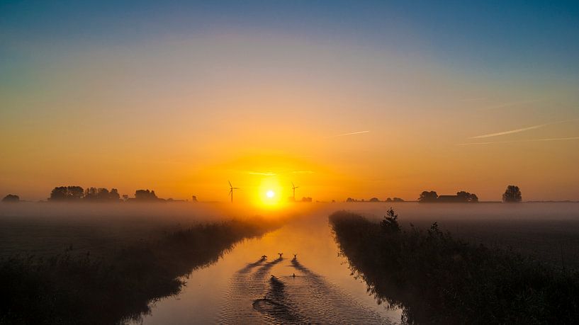 De vroege vogels van Bartlehiem von Sparkle King