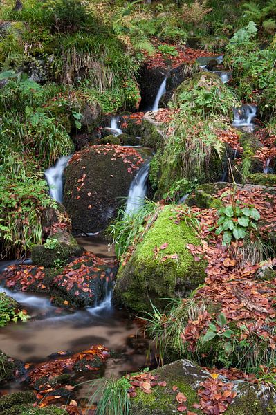 Kleiner Wasserfall in den Vogesen von Wim Slootweg
