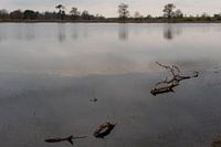 Water with reflection of the sky in soft pastel colors