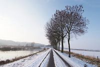 Winter road to Ooij