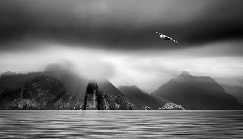 Fjord en Alaska avec pétrel volant (Fulmarus glacialis) par Chris Stenger