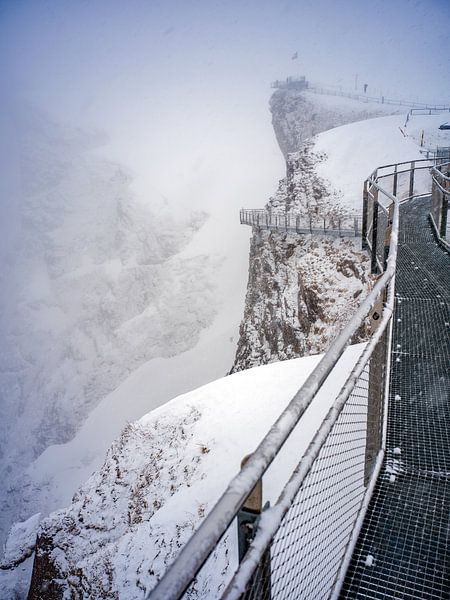 First Cliff Walk: Gipfelrundweg mit Hängebrücke von t.ART