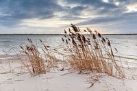 Noordsvaarder Dämmerung II