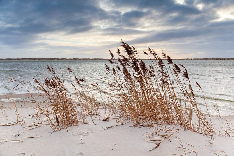 Noordsvaarder dawn II par Evert Jan Luchies