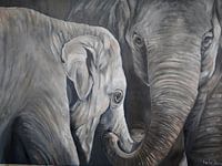 L'amour des éléphants