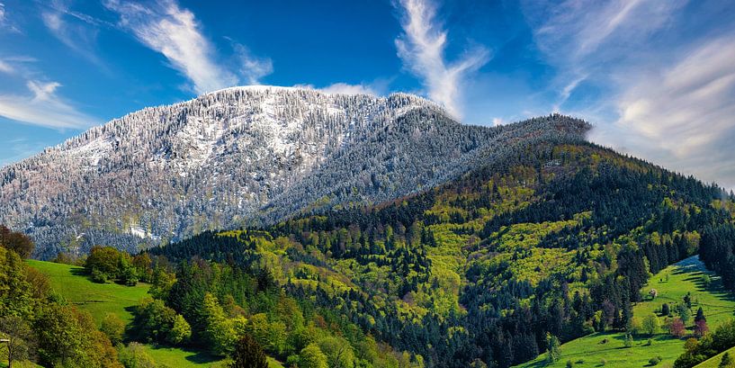 Belchen avec neige - Paysage de la Forêt-Noire par Photo Art Thomas Klee