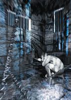 Gevangenschap van de eigen ME