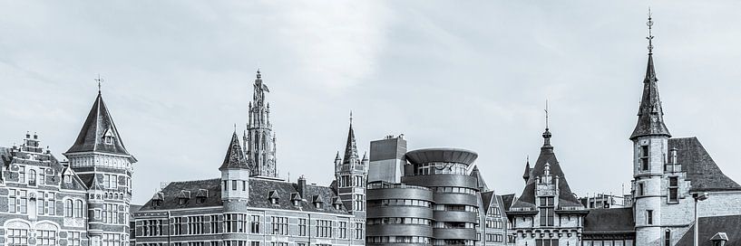Panorama d'Anvers avec la cathédrale Notre-Dame - monochrome par Werner Dieterich