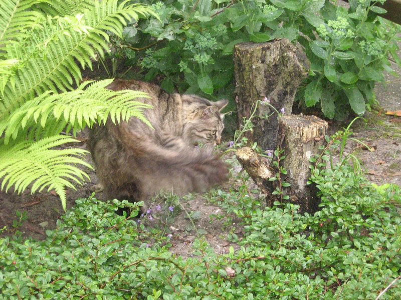 Wat ruikt hier zo? von Sjoerd Jelle Wiersma