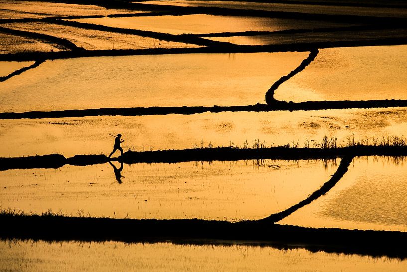 rijst van Ummu Nisan Kandilcioglu