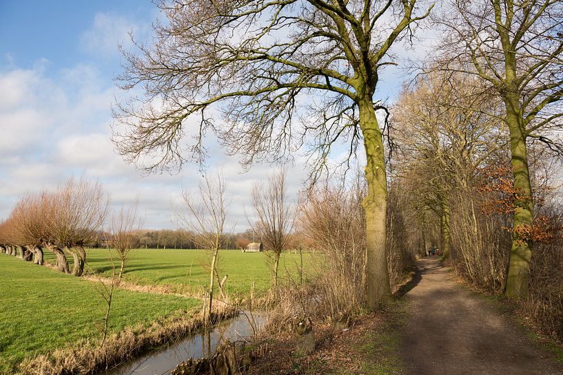 Het Scheidingslaantje op landgoed Nieuw Amelisweerd par Marijke van Eijkeren