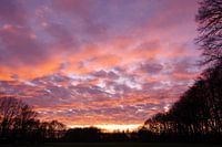 Nuages roses dans le ciel du soir