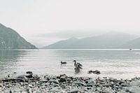 Italien Berge Comer See