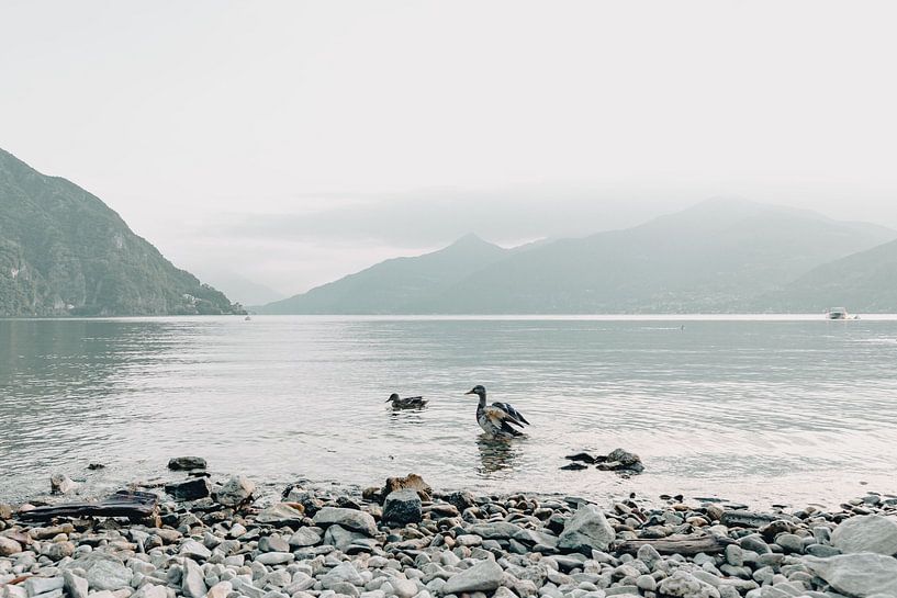 Italien Berge Comer See von Déwy de Wit
