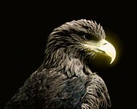 Tierportrait Adler mit Glow-Effect