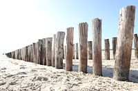 golfbreker in zeeland