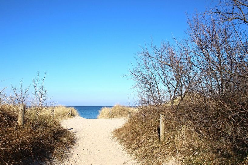 Strandaufgang im Winter von Ostsee Bilder