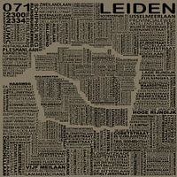 Carte de Leiden