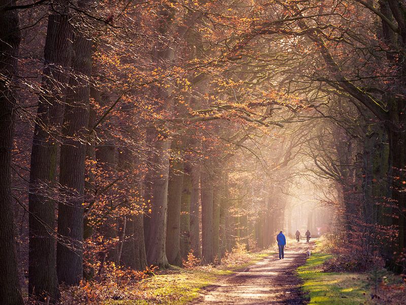 Heeze 34 par Deshamer