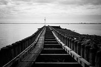 Au bout de l'horizon, la lumière brille toujours