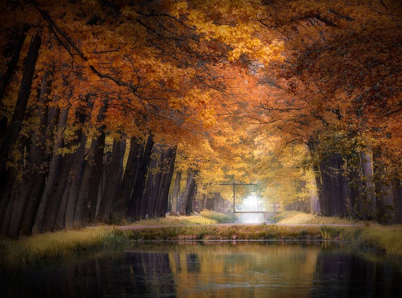 Water Of Love by Kees van Dongen