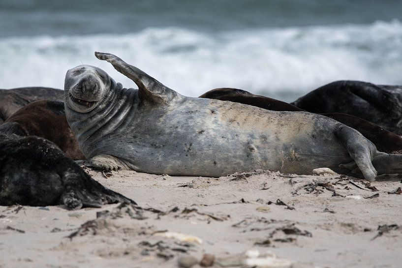 hoofdpijn van Erhard Bewernick