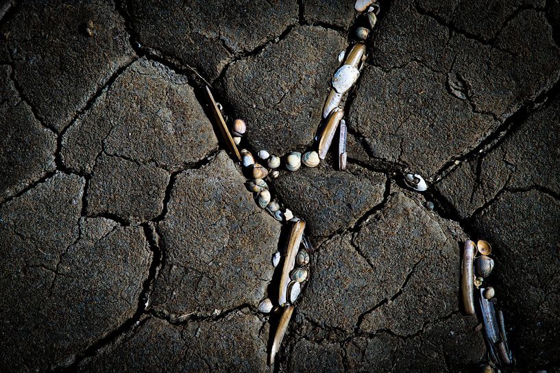 am Strand gestrandet von Ed Dorrestein