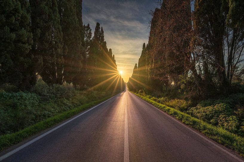 Die von Zypressen gesäumte Allee von Bolgheri und die Sonne von Stefano Orazzini