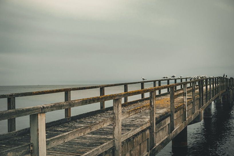Occupied pier by Lisa Zet