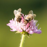 Just the two of us....