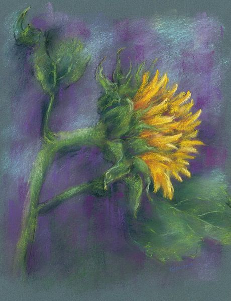 Peinture au pastel simple de fleur de tournesol par Karen Kaspar