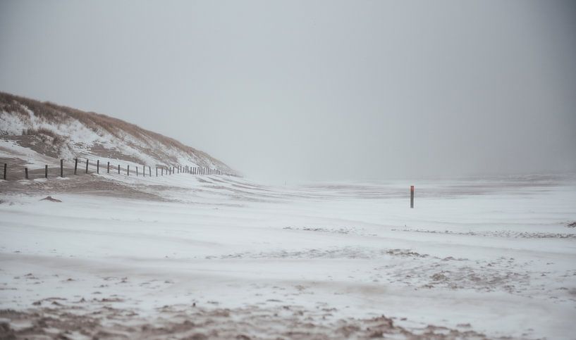 Snowstorm at sea by Sanne Dost