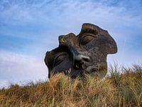 Ein Bild eines Gesichts in den Dünen von Scheveningen. Natur, Gras und blauer Hintergrund.